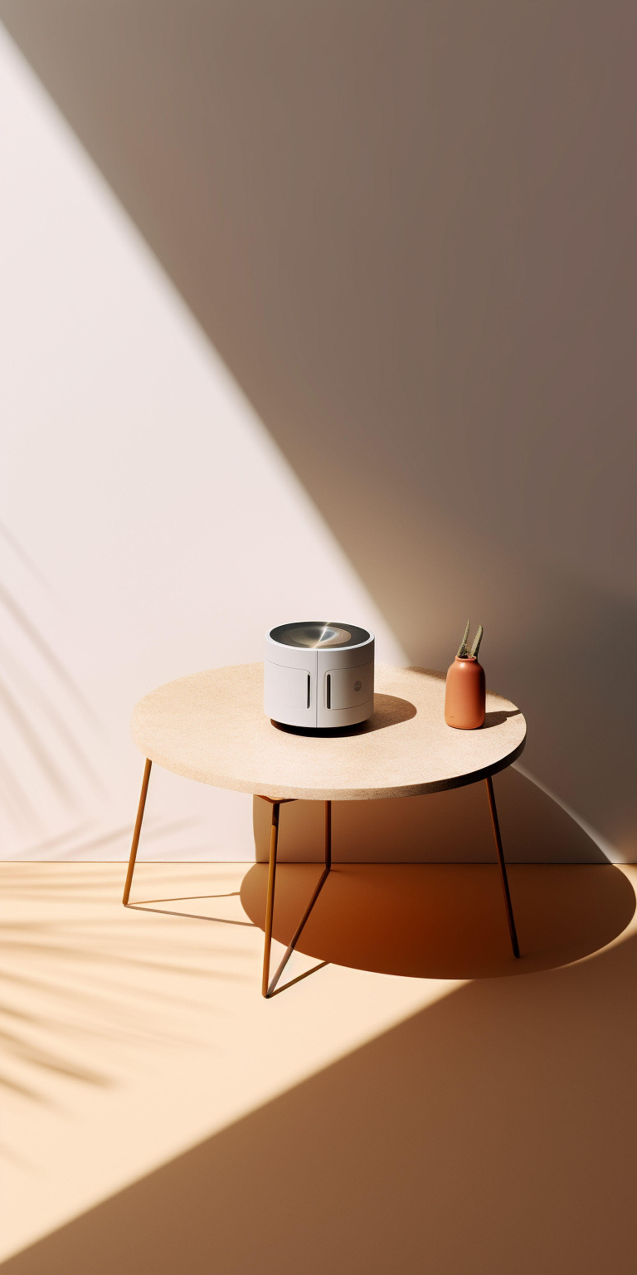 Furniture & Home Décor